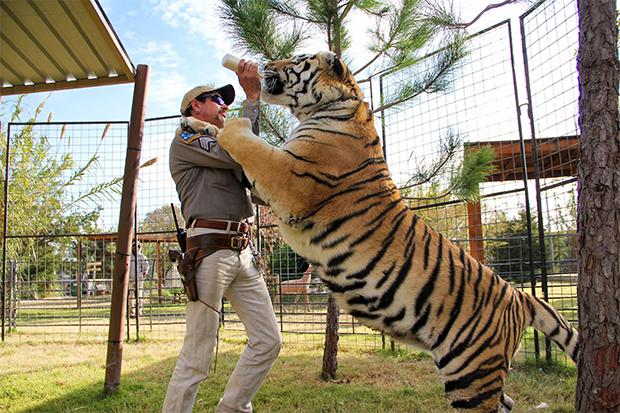 Joe Exotic 