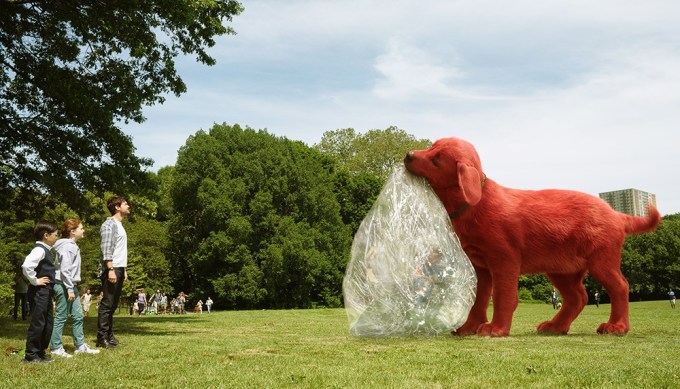 Clifford In Central Park