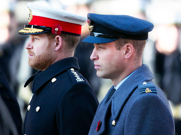 Prince Harry & Prince William