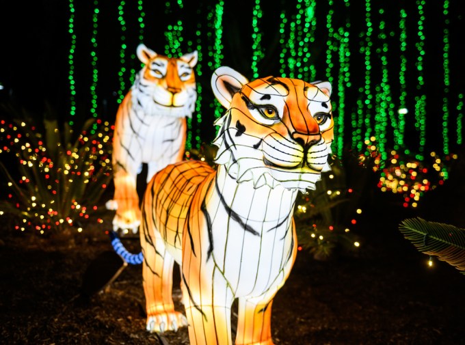 L.A. Zoo Lights
