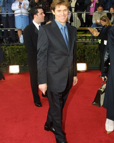 Willem Dafoe
2001 Screen Actors Guild Awards
3/11/01 Los Angeles, CA
Willem Dafoe
7th Annual EIF / Screen Actors Guild Awards
Photo®Berliner Studio/BEImages
