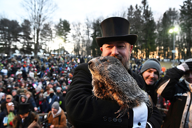 punxsutawney phil