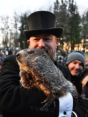 punxsutawney phil