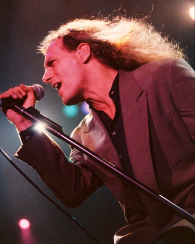 Michael Bolton
Michael Bolton in concert, Wembley Arena, London, UK - 11 Nov 1991