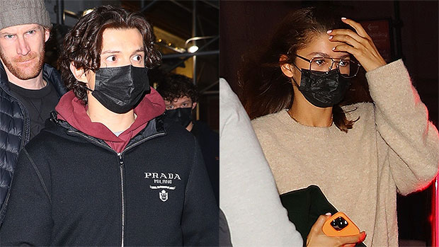 Tom Holland, Zendaya