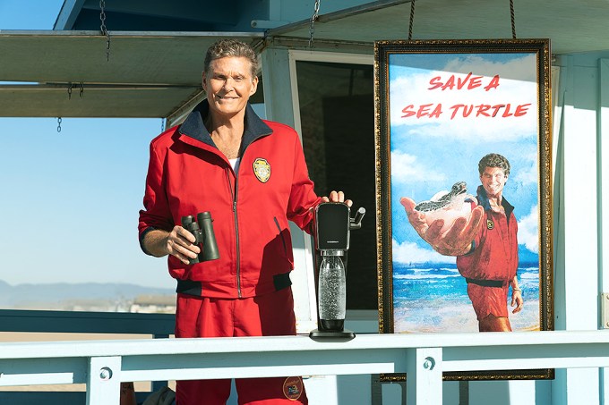 David Hasselhoff