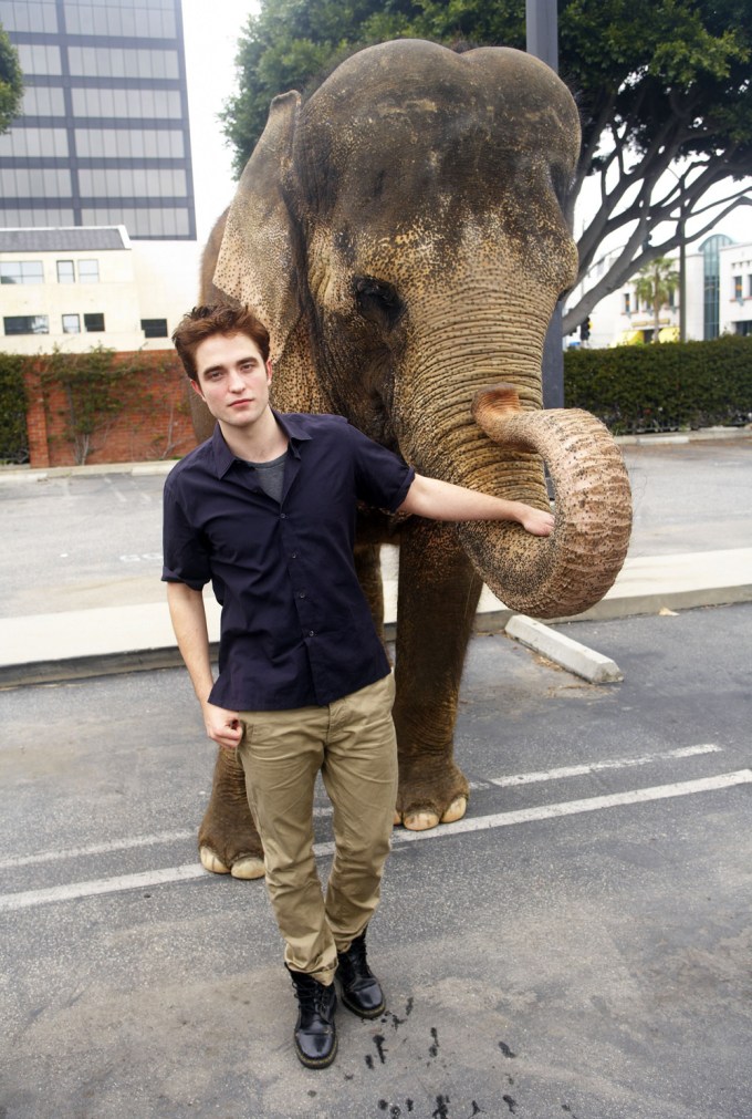 Robert Pattison & Tai The Elephant