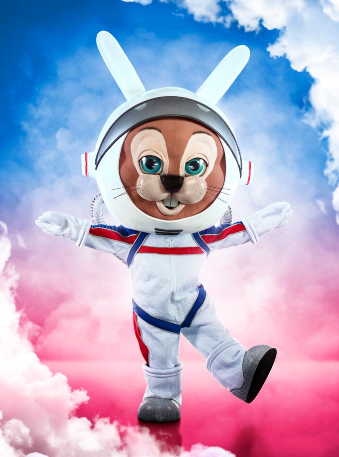 Space Bunny