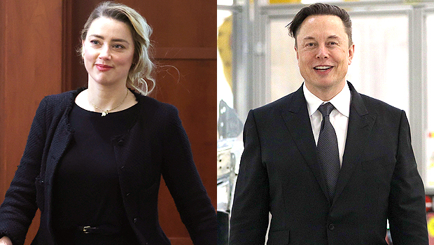 amber heard, elon musk