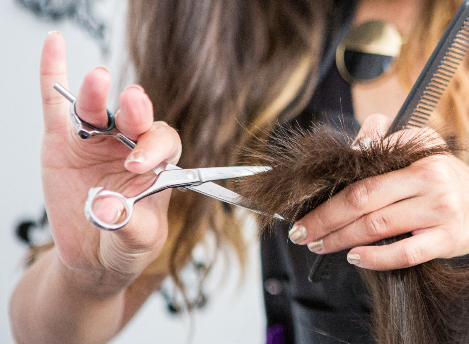 top hairdressers scissors