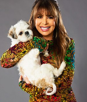 american rescue dog show