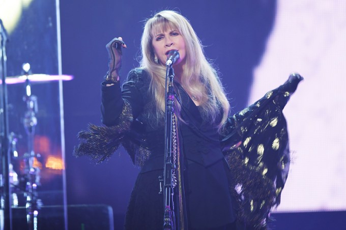 Stevie Nicks At The Rock & Roll Hall Of Fame