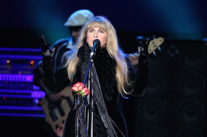 Stevie Nicks In 2004