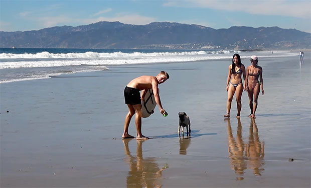 Welcome to Plathville