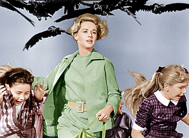 Tippi Hedrin The Birds