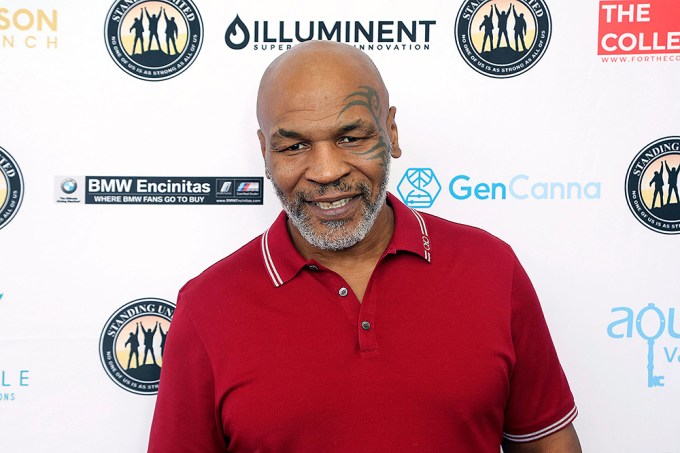 Mike Tyson In 2019