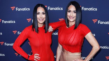 nikki bella, brie bella