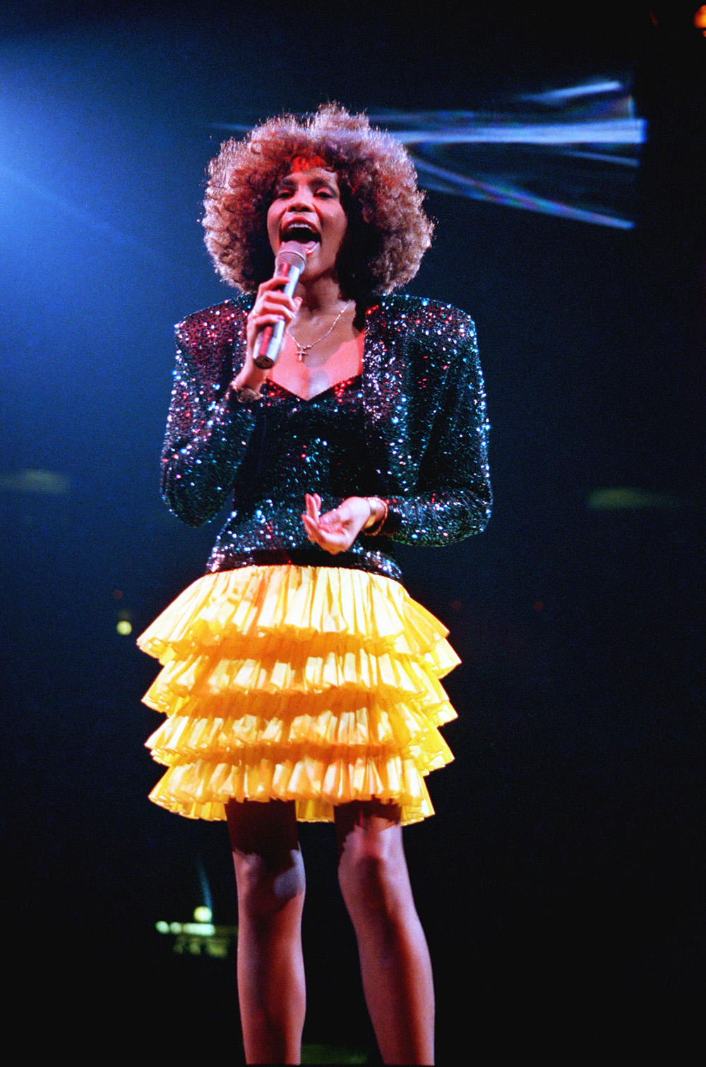 TV-Whitney Houston, New York, USA