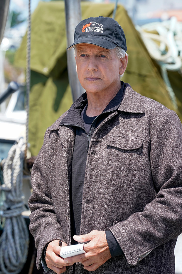 Mark Harmon