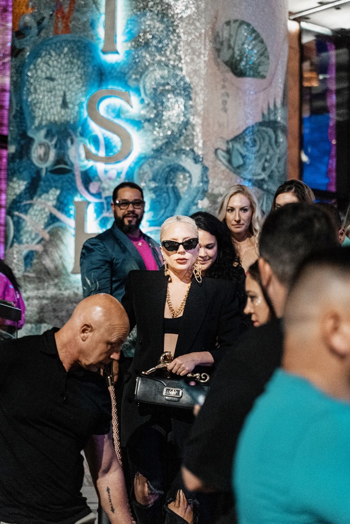  Lady Gaga