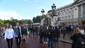 buckingham palace
