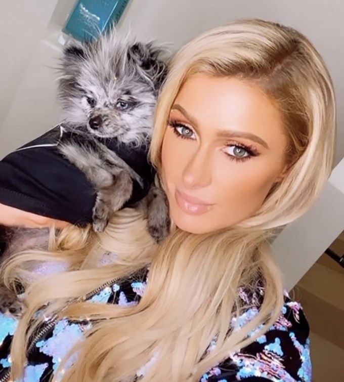 Paris Hilton