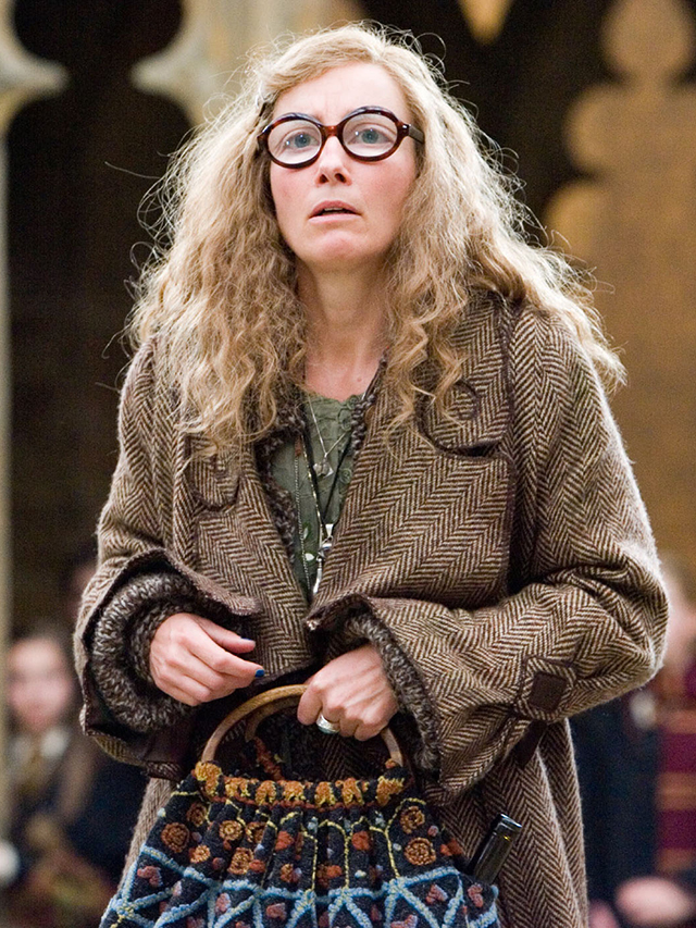 Harry Potter Characters To Dress Up As for Halloween