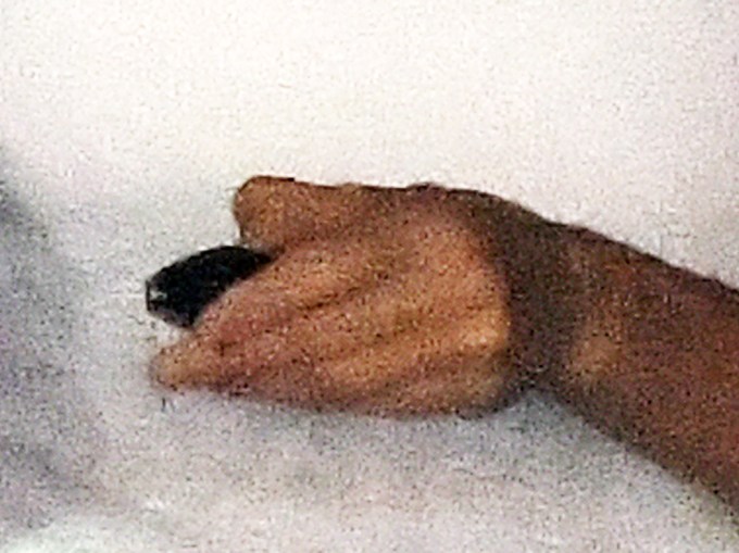 Gisele’s Hand