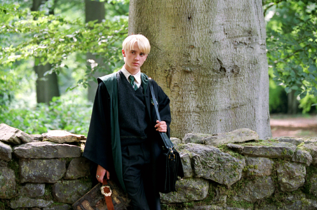 draco