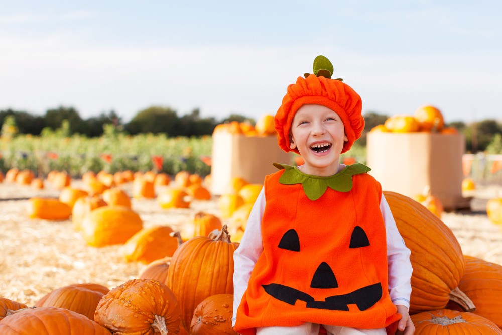Highly rated pumpkin costumes