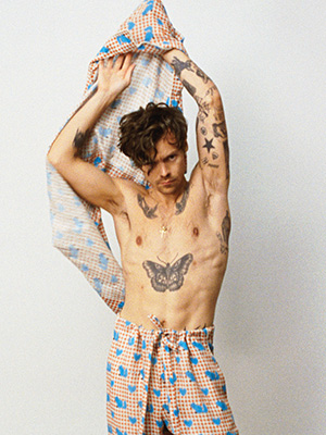 harry styles