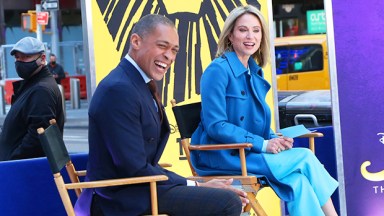 amy robach, tj holmes