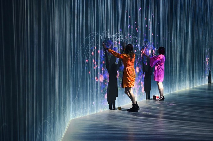 Wild Art Of Nature Event