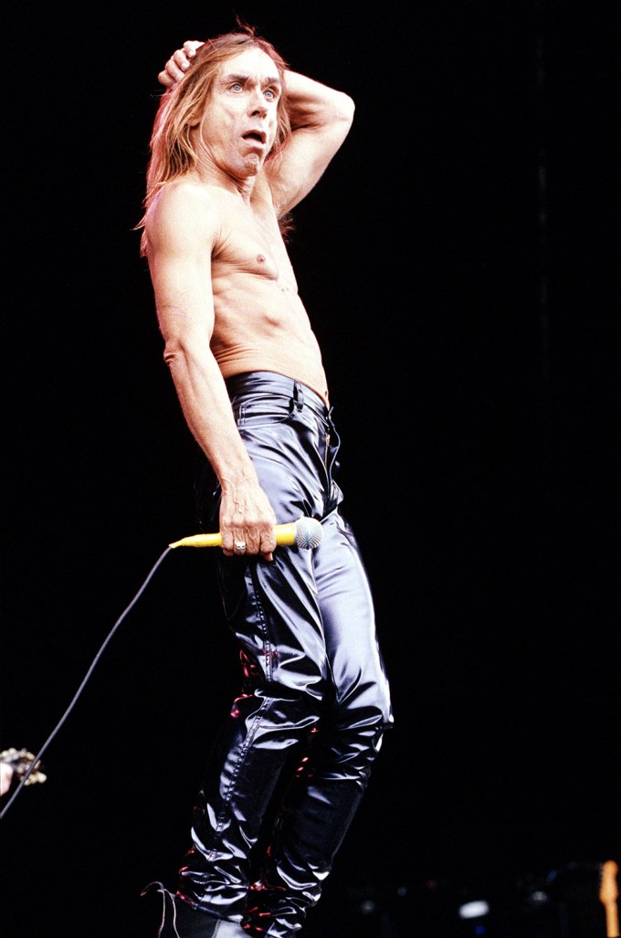 Iggy Pop In 2000