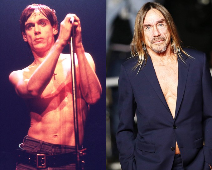 Iggy Pop’s Life In Pictures: See Photos Of The Punk Icon Throughout His Incredible Career