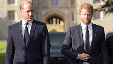 prince harry prince william