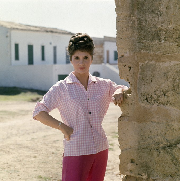 Gina Lollobrigida In 1950