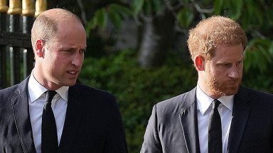 Prince William, Prince Harry