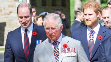 prince harry, prince william, king charles