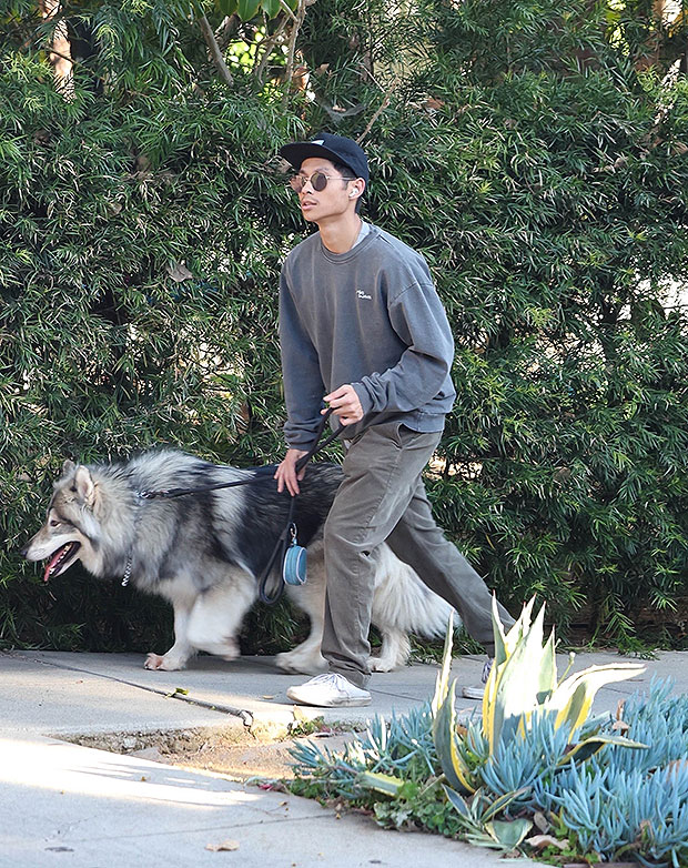 Pax Jolie-Pitt and dog