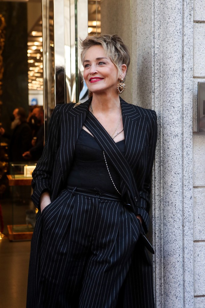 Sharon Stone In 2022