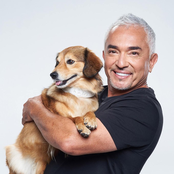 Cesar Millan