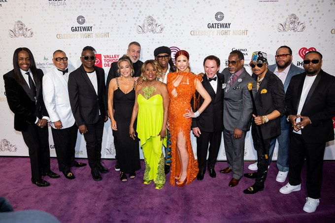 Gateway Celebrity Fight Night