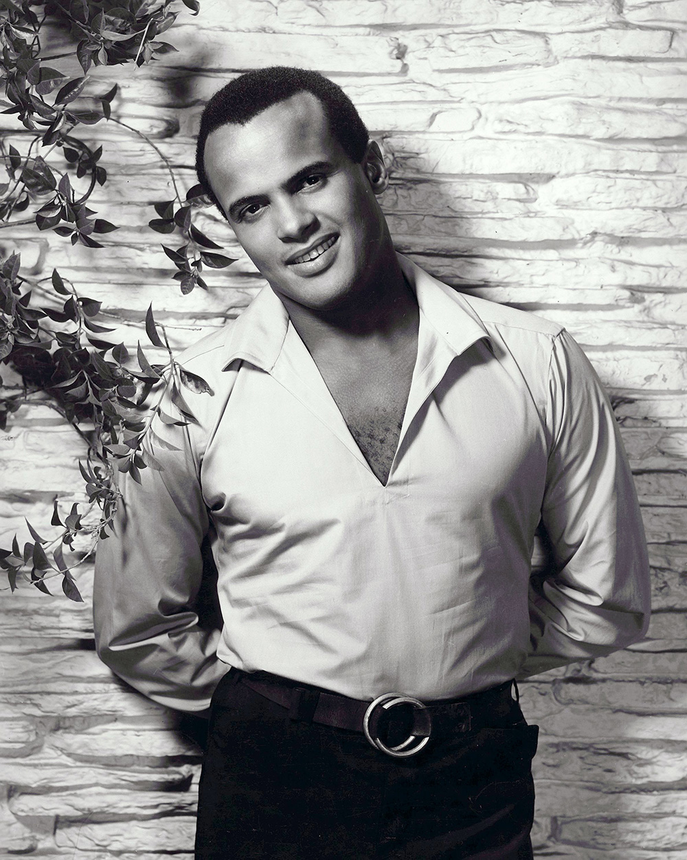 Editorial use only. No book cover usage.Mandatory Credit: Photo by Gene Kornman/20th Century Fox/Kobal/Shutterstock (5854377a)Harry BelafonteHarry Belafonte - 195420th Century FoxPortrait