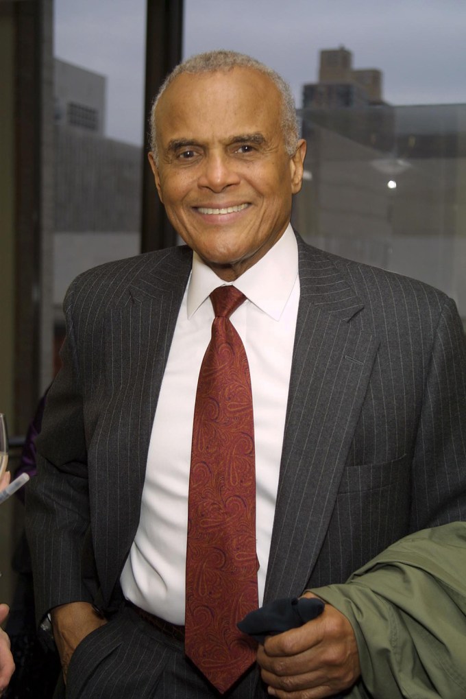 Harry Belafonte, 2003