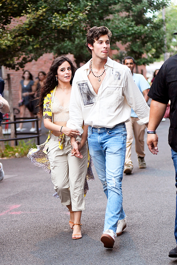 Shawn Mendes and Camila Cabello 