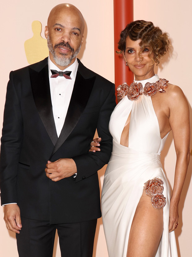 halle berry van hunt