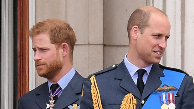 prince harry, prince william