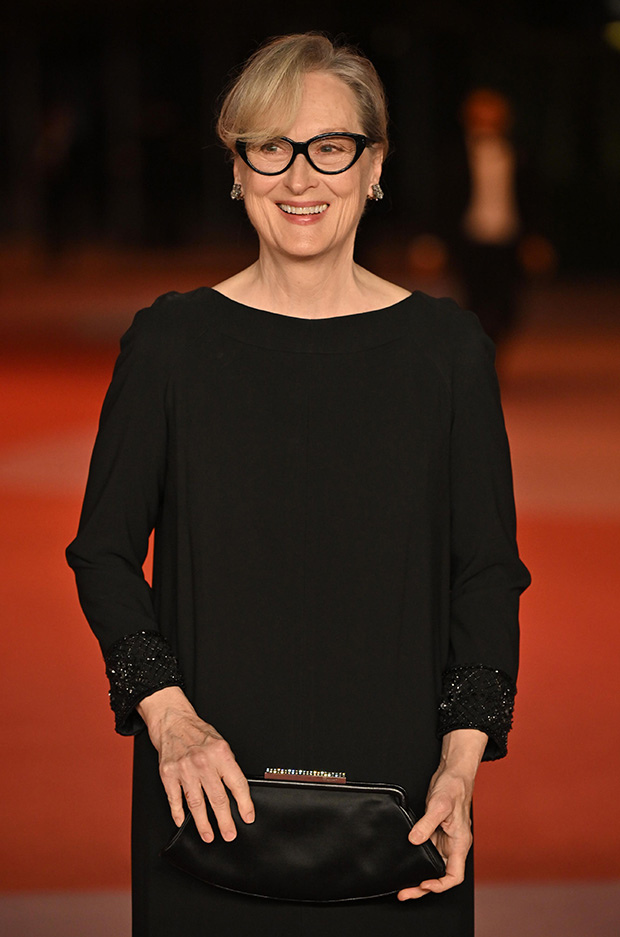 Meryl Streep and All Four of Her Kids Attend the Academy Museum Gala