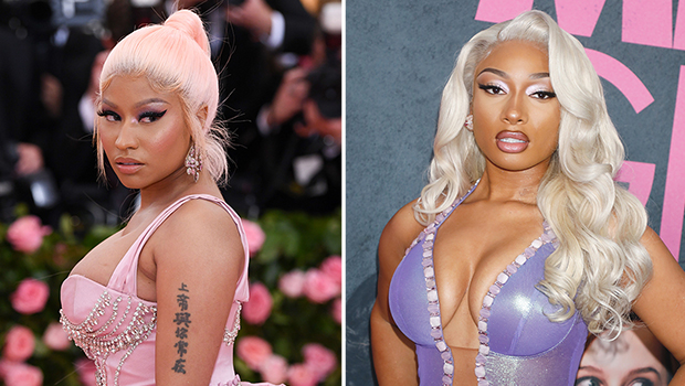 Nicki Minaj Seemingly Reacts to Megan Thee Stallion's 'Hiss' Song